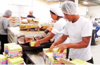 Convocatoria de empleo para empacadores de productos (Con y sin experiencia)